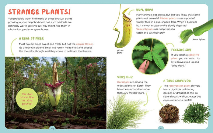 Backpack Explorer: Discovering Plants And Flowers