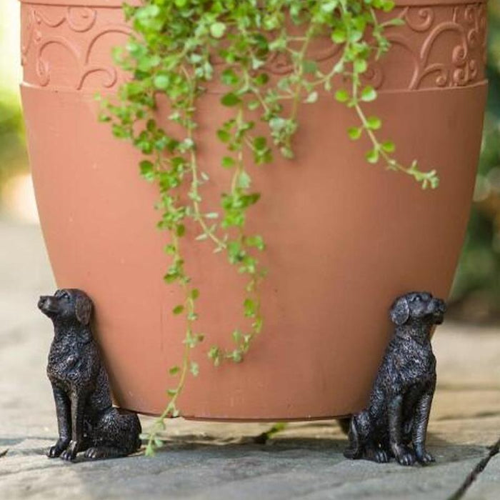 dog (3pcs)