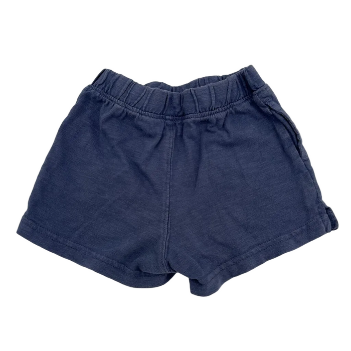 Elastic Waist Shorts