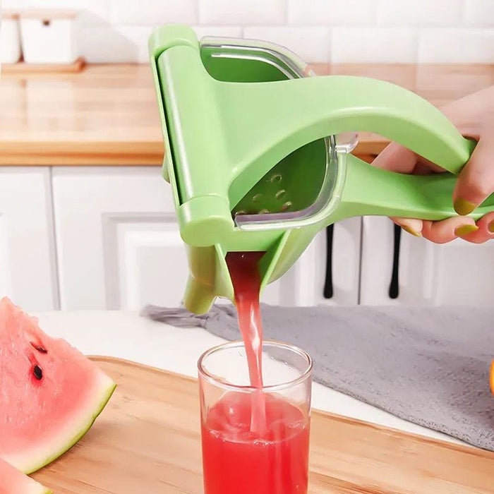 Fruit Juice Squeezer