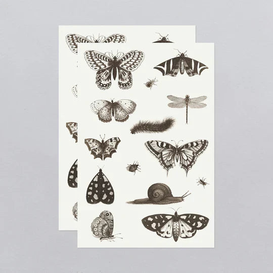 Insects Tattoo Sheet