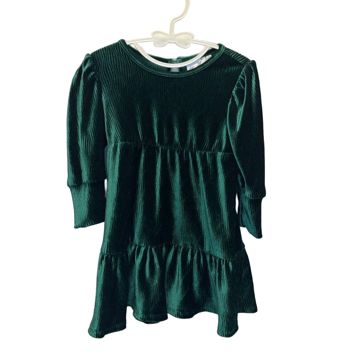 LS Velvet Dress