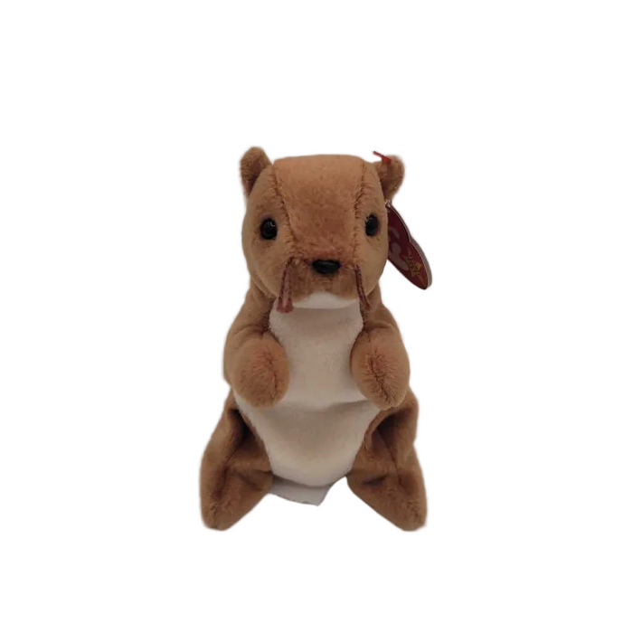 Nuts the Squirrel