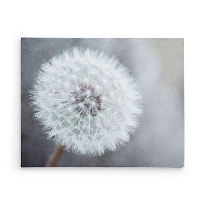 11x14 Botanical Canvas Print (Choose from 10+ Designs)