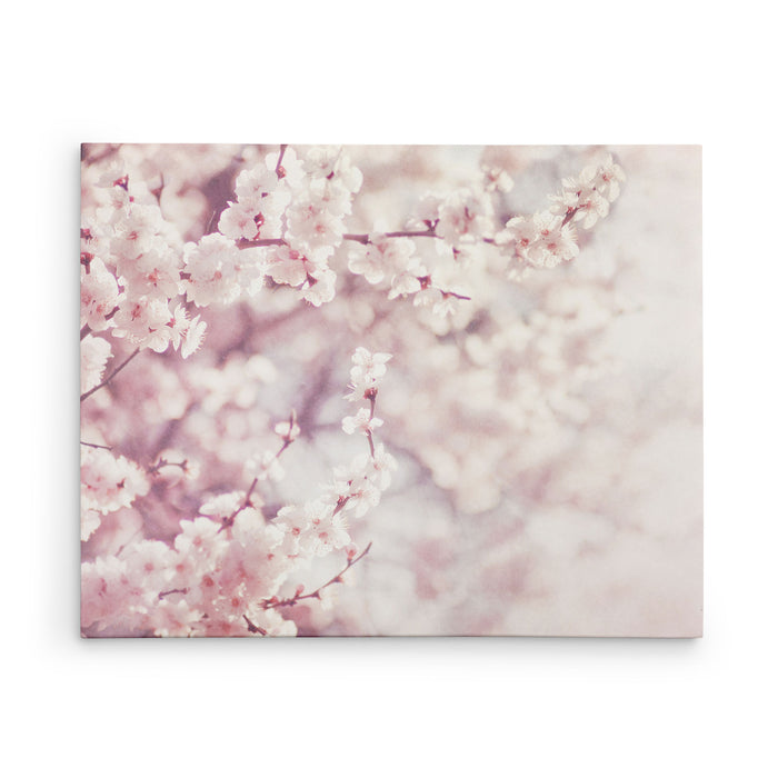 Dreamy Blossom