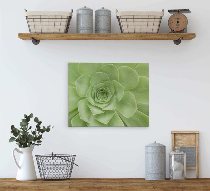 11x14 Botanical Canvas Print (Choose from 10+ Designs)