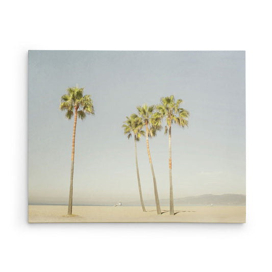 Canvas Print titled 'Boardwalk Palms'
