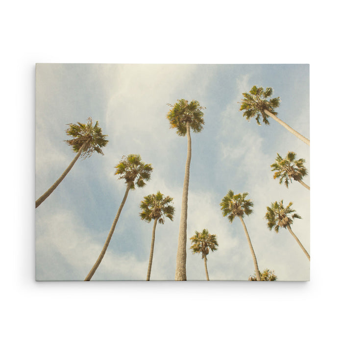 Reach for the Palms