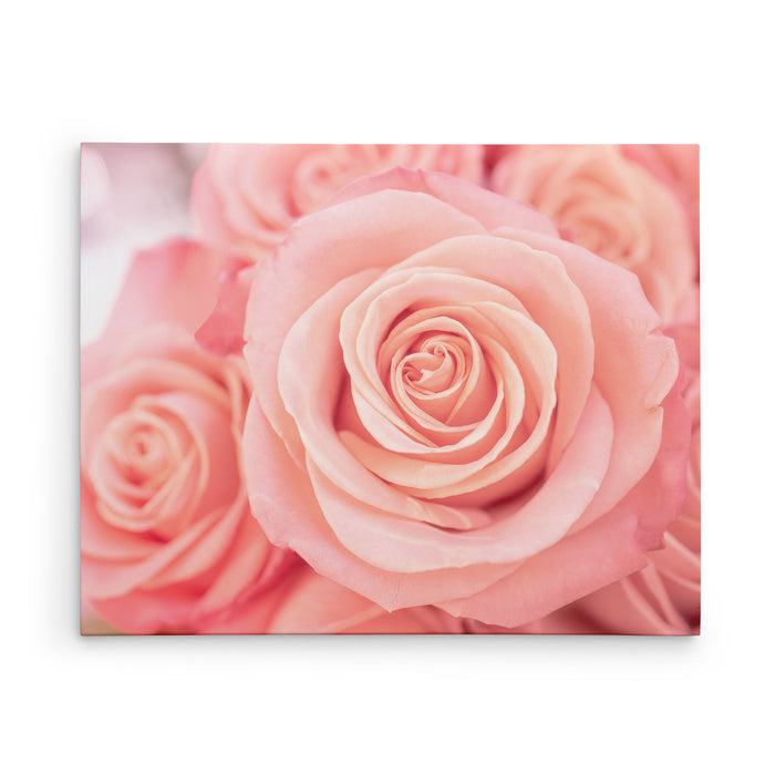 Peachy Rose