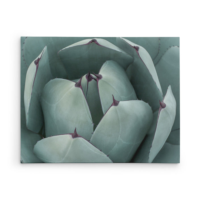 Teal Petals