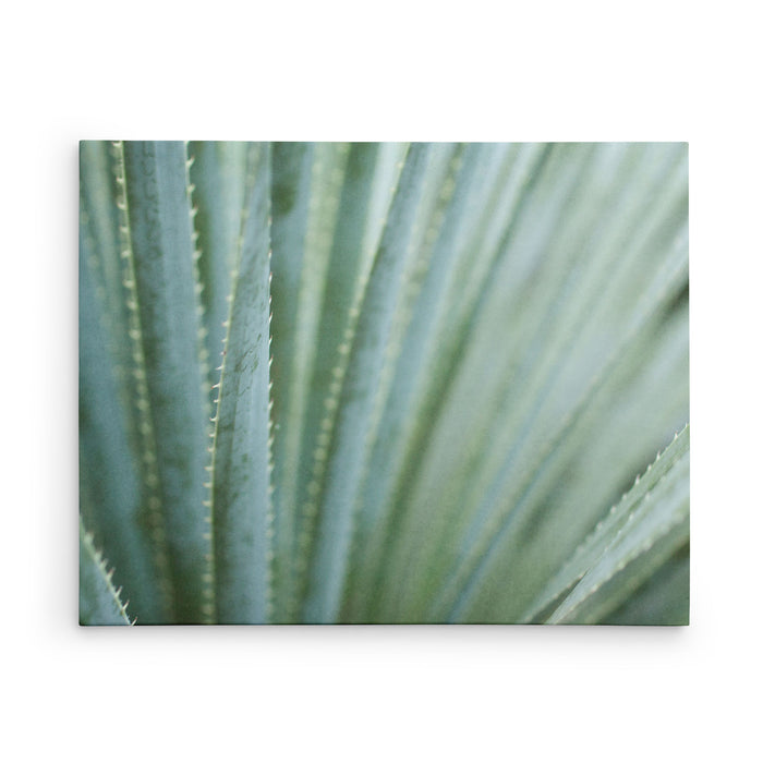 Strands and Spikes