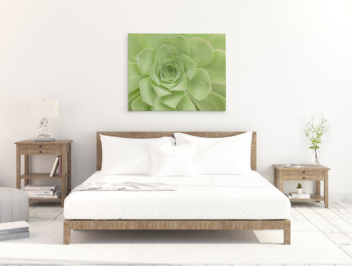 30X40 Botanical Canvas Print (Choose from 10+ Designs)