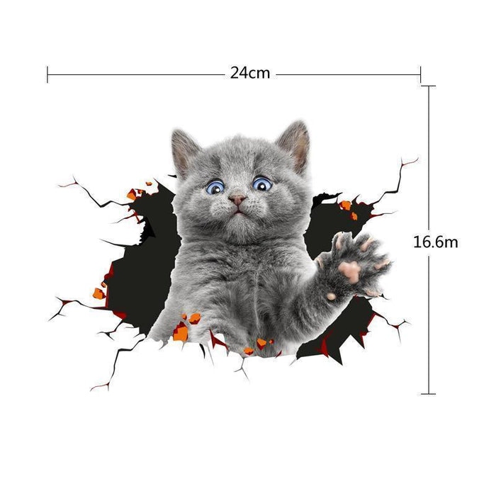 Cat 1