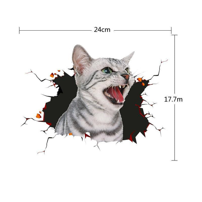 Cat 4