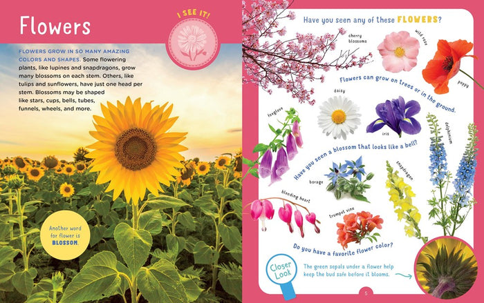 Backpack Explorer: Discovering Plants And Flowers