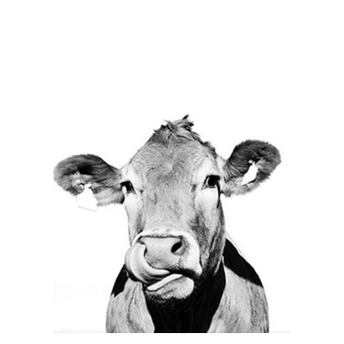 Cow Paint by Numbers