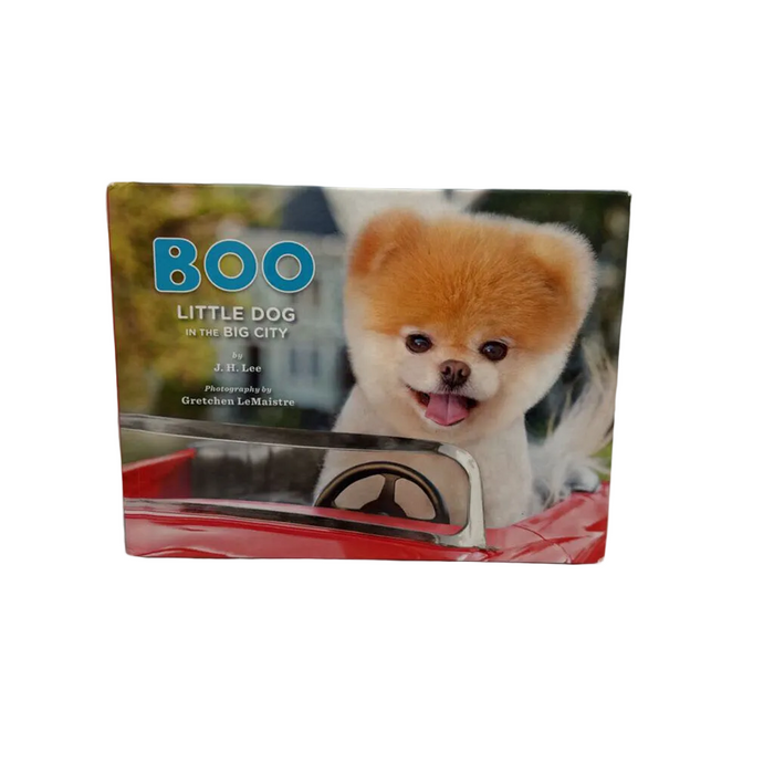 Boo Little Dog In The Big City