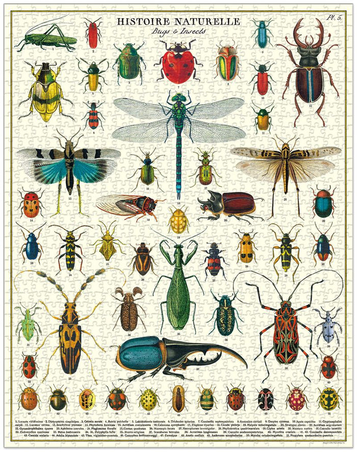 Bugs & Insects 1,000pc Puzzle