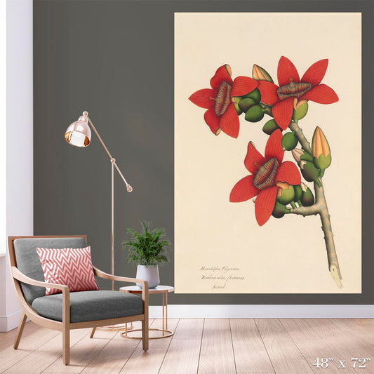 Calcutta Cotton Colossal Art Print