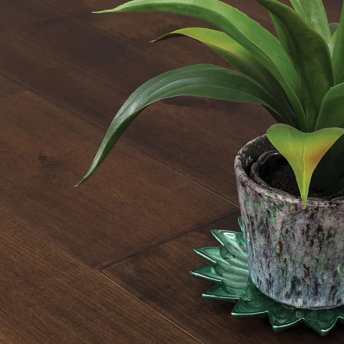CLEARANCE - Tesoro Woods Maple Dune 7" - GreenFlooringSupply.com