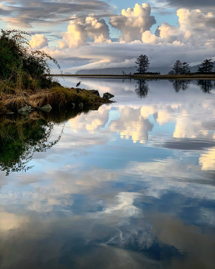 Cloud Reflection & Heron on Tillamook Bay *Limited Edition* Original Photography Paper Prints & Framed Metal Prints