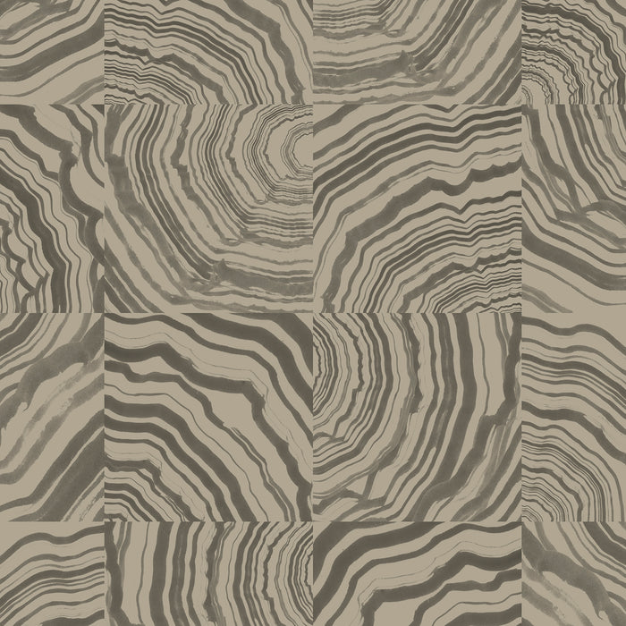Collage - Petoskey <br> Wallpaper