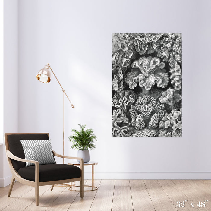 Corals Colossal Art Print - Trendy Custom Wallpaper | Contemporary Wallpaper Designs | The Detroit Wallpaper Co.