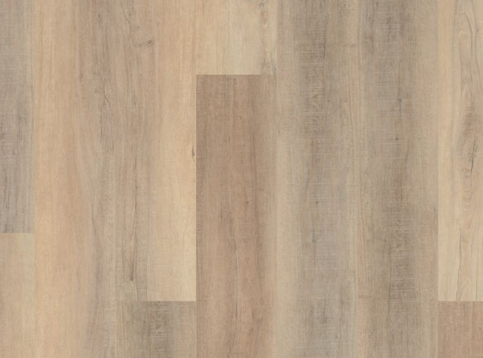 Coretec Pro Plus XL Enhanced HD Bastion Elm 9" - GreenFlooringSupply.com