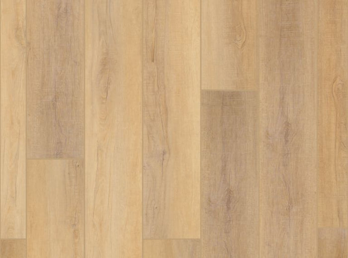 Coretec Pro Plus XL Enhanced HD Canterbury Elm 9" - GreenFlooringSupply.com
