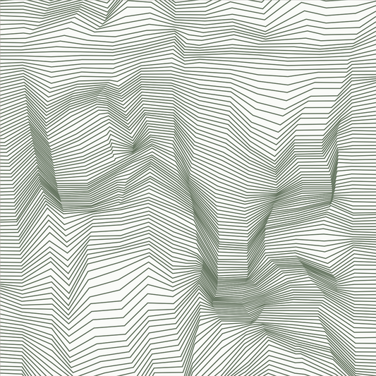 Crinkle - Topo - Trendy Custom Wallpaper | Contemporary Wallpaper Designs | The Detroit Wallpaper Co.