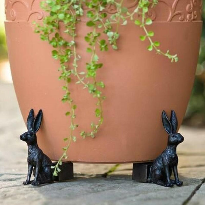 rabbit (3pcs)