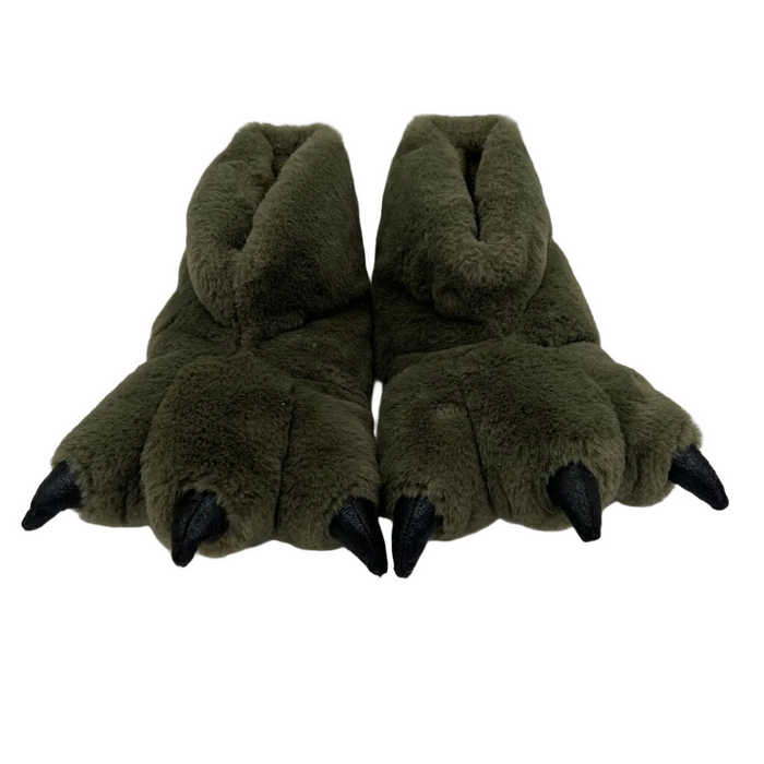 Dinosaur Slippers
