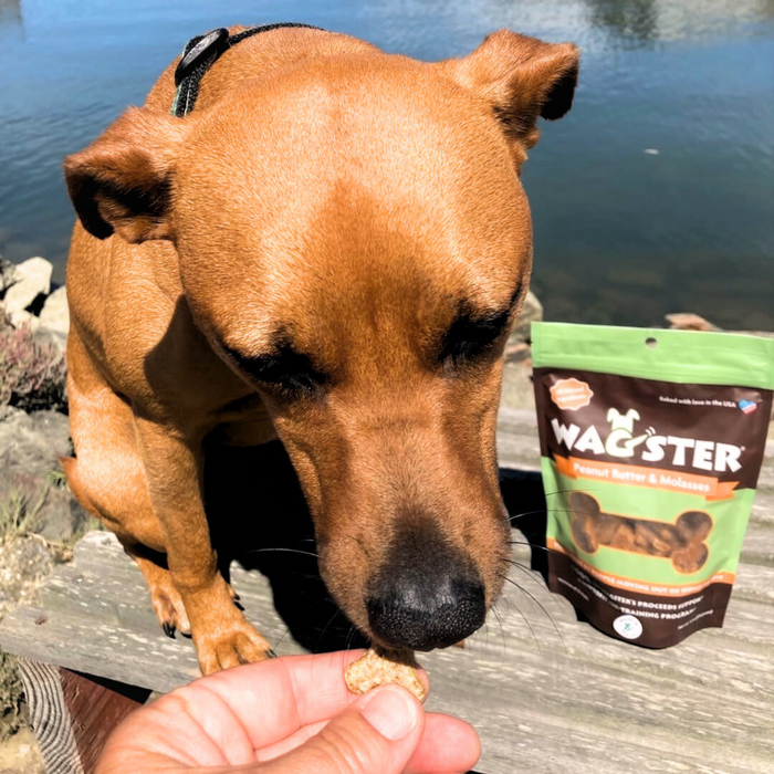 Dog Treats - Pack of Three