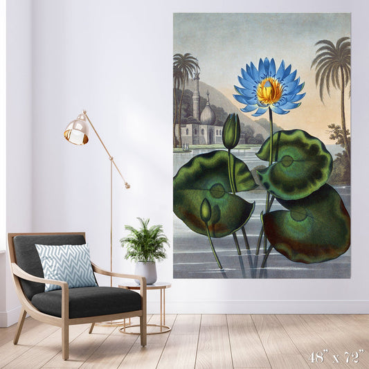 Egyptian Waterlily Colossal Art Print - Trendy Custom Wallpaper | Contemporary Wallpaper Designs | The Detroit Wallpaper Co.