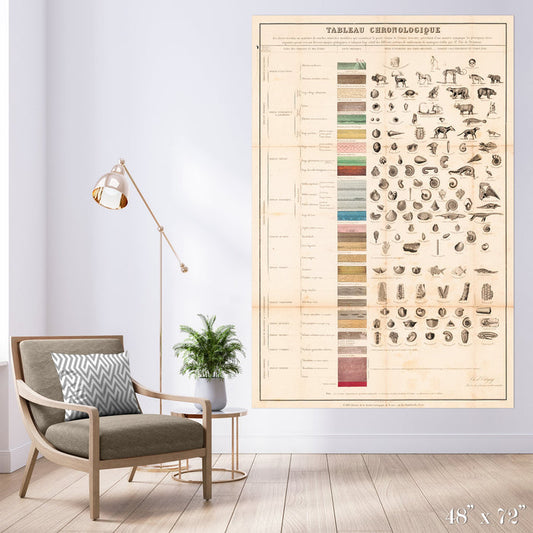 Fossil Colossal Art Print - Trendy Custom Wallpaper | Contemporary Wallpaper Designs | The Detroit Wallpaper Co.