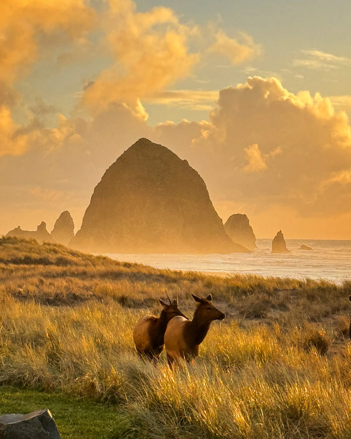 Haystack Couple Original Photography Paper Prints & Framed Metal Prints