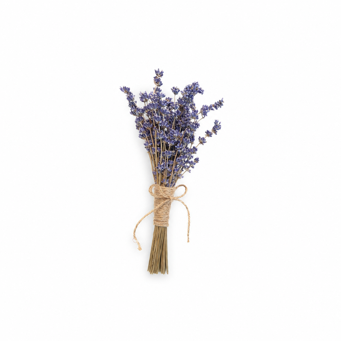 Hexagon Propagation Station With Lavender