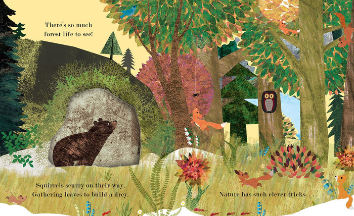 Home Peek Through Board Book