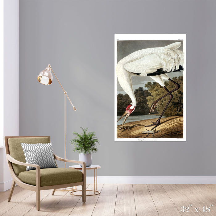 Hopping Crane Colossal Art Print - Trendy Custom Wallpaper | Contemporary Wallpaper Designs | The Detroit Wallpaper Co.