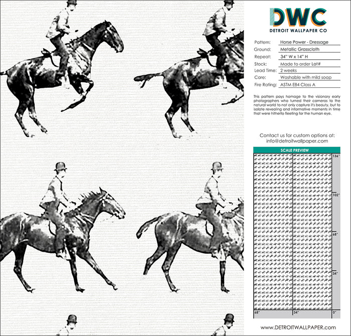 Horse Power - Dressage Grasscloth Wallpaper