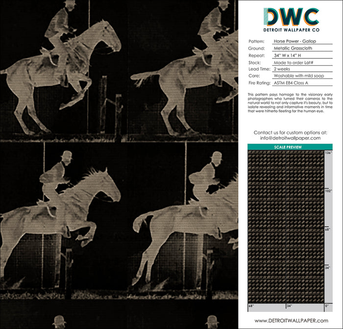 Horse Power - Gallop Grasscloth Wallpaper