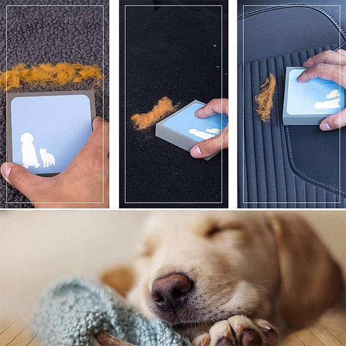 Magic Sponge, Catch All the Animal Hair