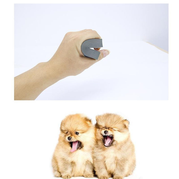 Magic Sponge, Catch All the Animal Hair