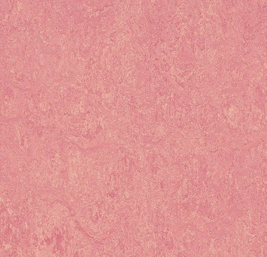 Marmoleum Cinch Loc Seal Panel - Honey Suckle 12" x 36" - GreenFlooringSupply.com