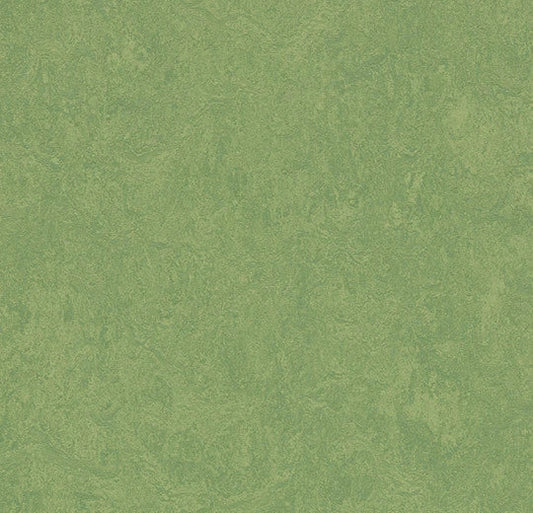 Marmoleum Cinch Loc Seal Panel - Leaf 12" x 36" - GreenFlooringSupply.com