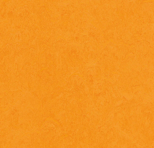 Marmoleum Cinch Loc Seal Panel - Marigold 12" x 36" - GreenFlooringSupply.com