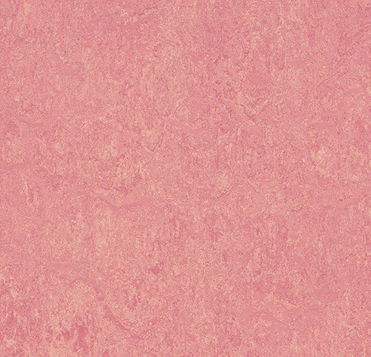 Marmoleum Cinch Loc Seal  Square - Honey Suckle 12" x 12" - GreenFlooringSupply.com