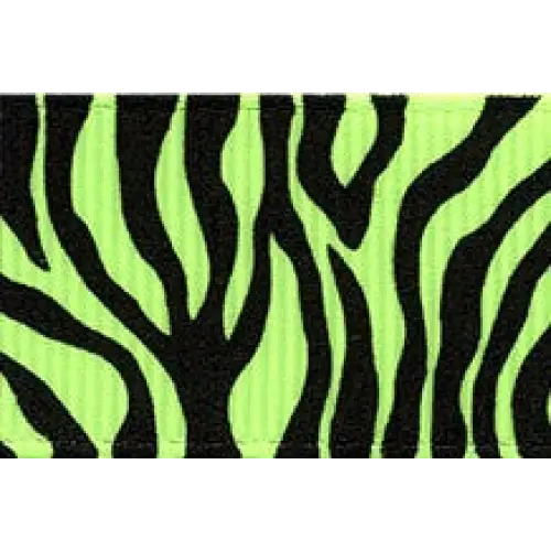 Neon Zebra Grosgrain Ribbon - Single Roll / 3/8’’ x 20