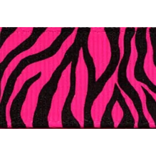 Neon Zebra Grosgrain Ribbon - Single Roll / 3/8’’ x 20