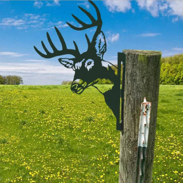 Deer
